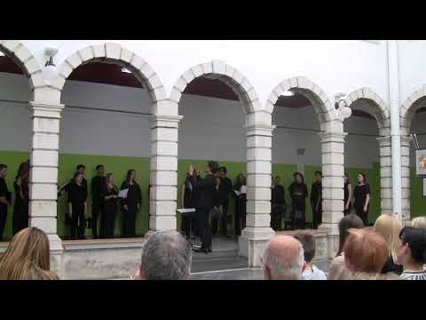 Šesti koncert in samostojne likovne razstave na Gimnaziji Koper